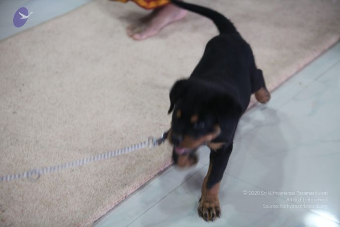 20130423 Photo 1570 15ORZCtJ801YQ26sL9DfMJMgQKoJb13mm.JPG