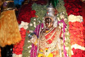 20130423 Photo 1576 1QzZ0efgrtycWrvmtUdBwPiVhtrSCpgzj.JPG