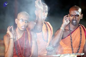 20130429 IMG 0102 CMP WM.jpg