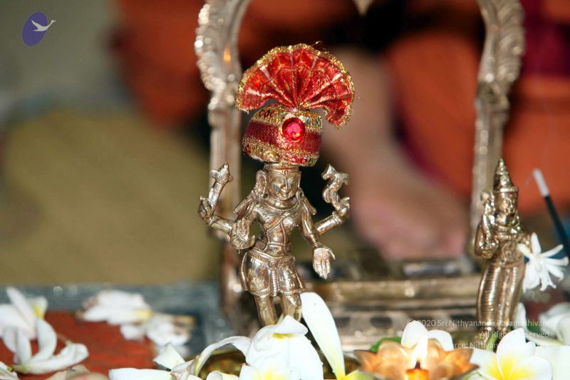 File:20130429 IMG 9824 CMP WM.jpg