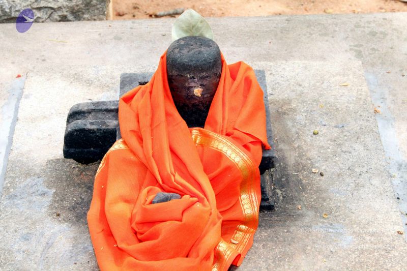 File:20130429 IMG 9867 CMP WM.jpg