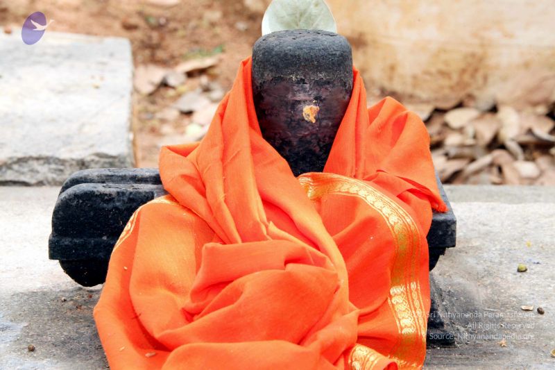 File:20130429 IMG 9870 CMP WM.jpg