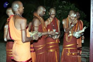 20130429 IMG 9985 CMP WM.jpg