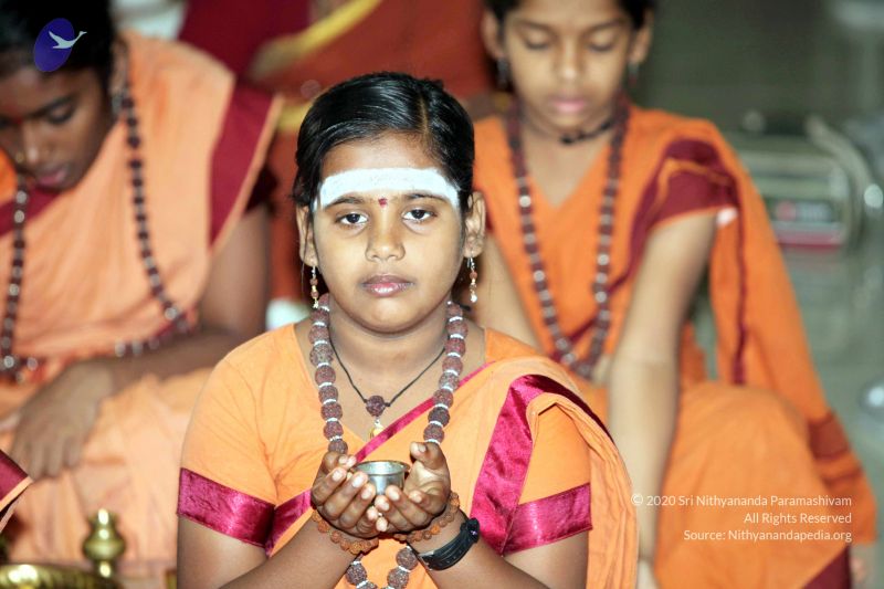 File:20130430 IMG 0137 CMP WM.jpg