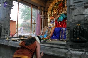 20130430 IMG 9549 CMP WM.jpg