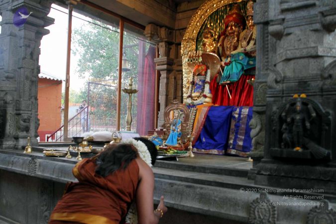 20130430 IMG 9549 CMP WM.jpg