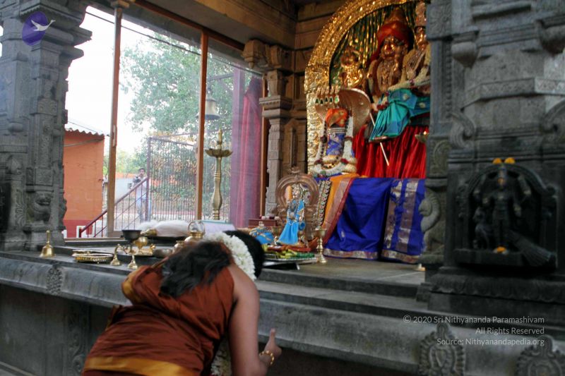 File:20130430 IMG 9549 CMP WM.jpg