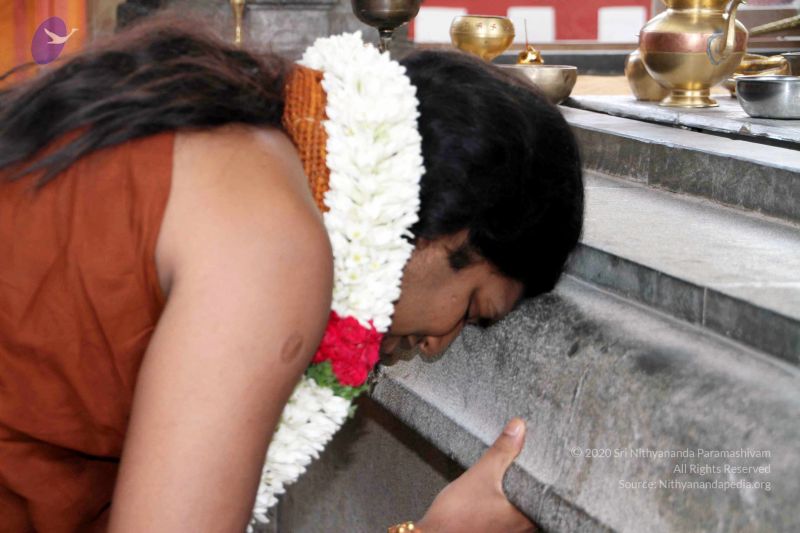 File:20130430 IMG 9550 CMP WM.jpg