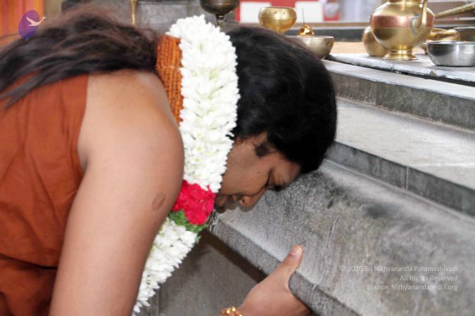 20130430 IMG 9551 CMP WM.jpg