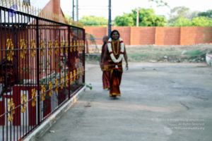 20130430 IMG 9554 CMP WM.jpg