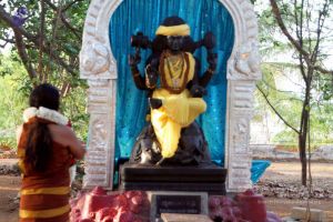 20130430 IMG 9558 CMP WM.jpg