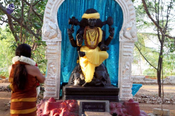 20130430 IMG 9558 CMP WM.jpg