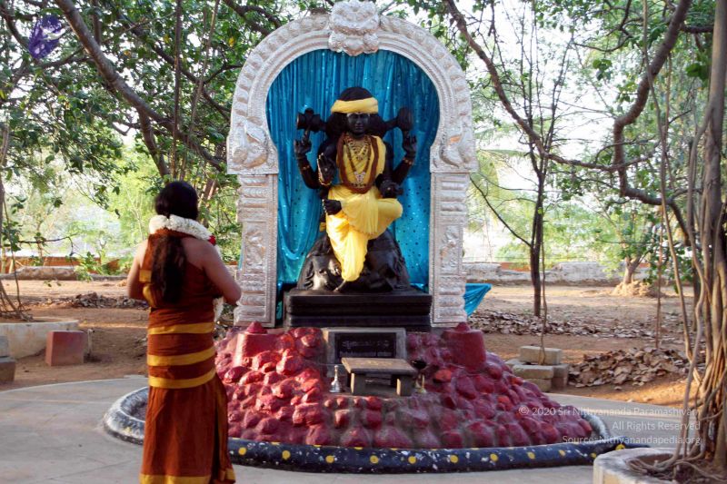 File:20130430 IMG 9559 CMP WM.jpg