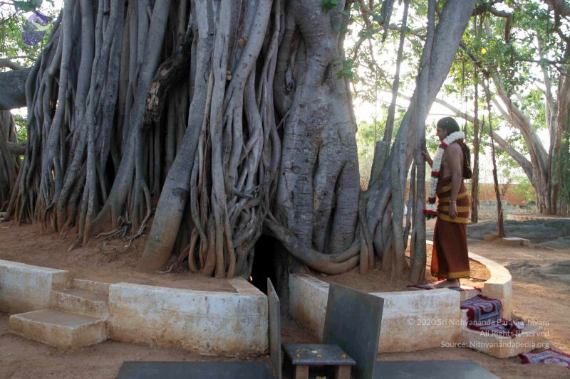 File:20130430 IMG 9560 CMP WM.jpg