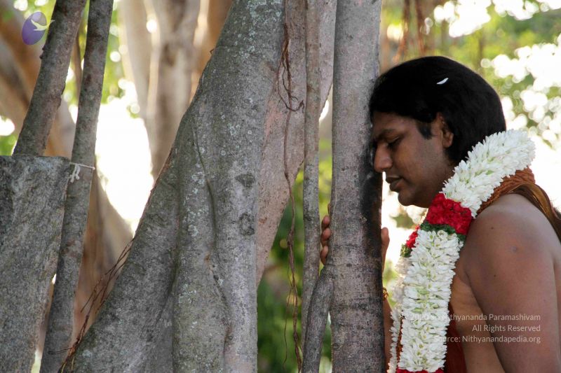 File:20130430 IMG 9561 CMP WM.jpg