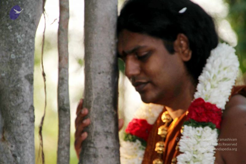 File:20130430 IMG 9562 CMP WM.jpg