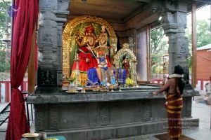 20130430 IMG 9566 CMP WM.jpg