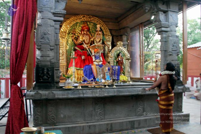 20130430 IMG 9566 CMP WM.jpg