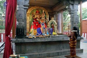 20130430 IMG 9567 CMP WM.jpg