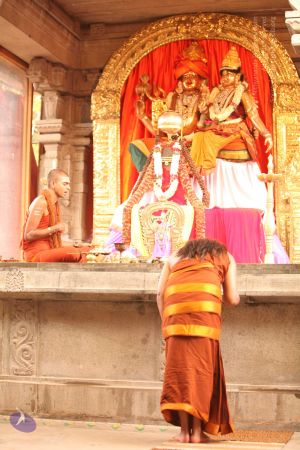 20130509 Photo 1009 16hRHQfceWGAk8QQwtd4LZew0ORqerWKt.JPG