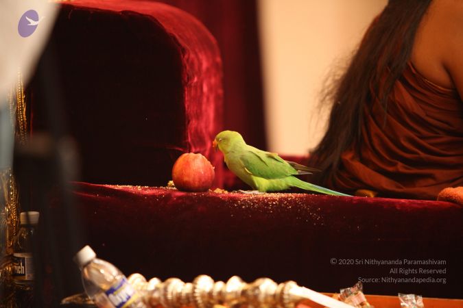 20130512 Photo 1122 1LDn8BQ1jQDlLGbfxYeSH6SZvq-Crd 9N.JPG