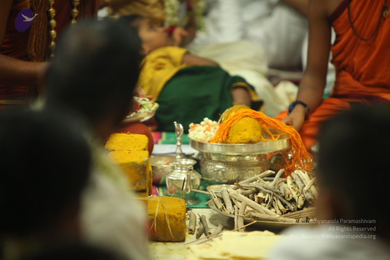 File:20130512 Photo 1257 1xIZ2ZB4tiipMBa74k3J0cOaJStcS daA.JPG