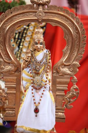 20130513 Photo 1006 1X2Qwwd6k3LLFQXU1N8xFnc8jurUp3QaQ.JPG