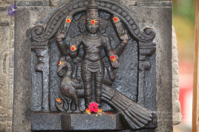 20130513 Photo 1016 1ZUw9GFhdYi4PyY M3jCdwZVPnrNKdcbR.JPG