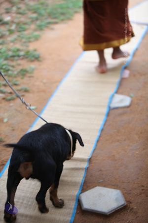 20130513 Photo 1029 10yt2z5YBKzIQrCjaNba7M0v8Pij4xlBq.JPG