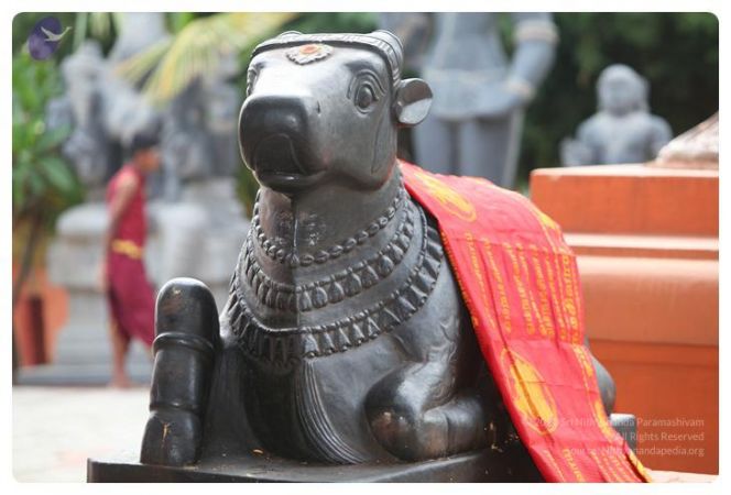 20130514 Photo 1007 1kDl QGMsde2t2B3iZS16LrUZpx7nRkJK.JPG