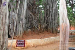 20130514 Photo 1016 1cpyBNWEIXD1Q27vQs-dADamfEQGT6TJt.JPG