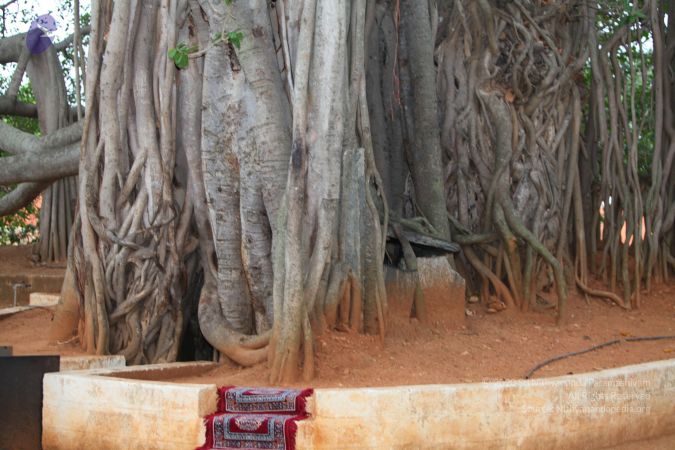 20130514 Photo 1017 1QdWXKM~ntEfBHvEkStSJ-NMXy7rDahT.JPG