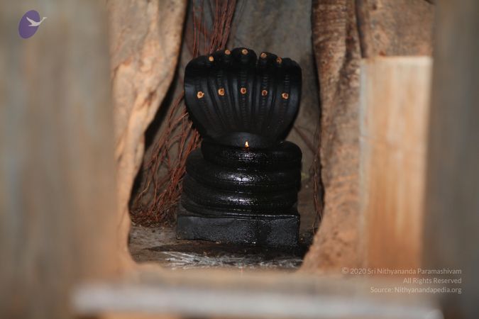 20130514 Photo 1020 17z7-QqiREPbXnMAzXTiwnBFVUsAKJMW3.JPG