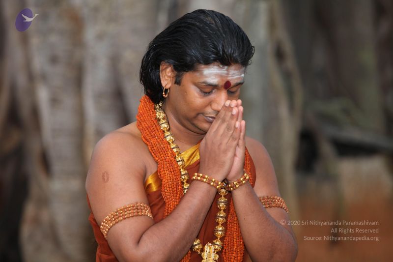 File:20130514 Photo 1032 1TBOHp6tEi8kBXvZAdDEH8n7 Vk36yQhO.JPG