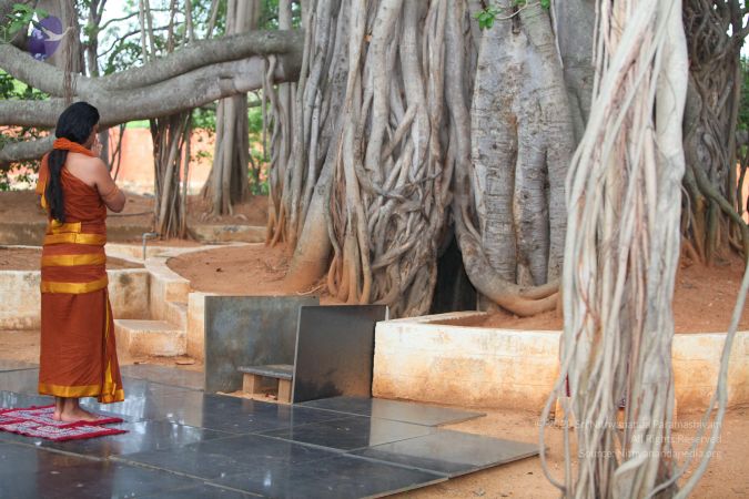 20130514 Photo 1038 15qO4vFG84vV25KD9yjBlfqFYF9vfAgCB.JPG