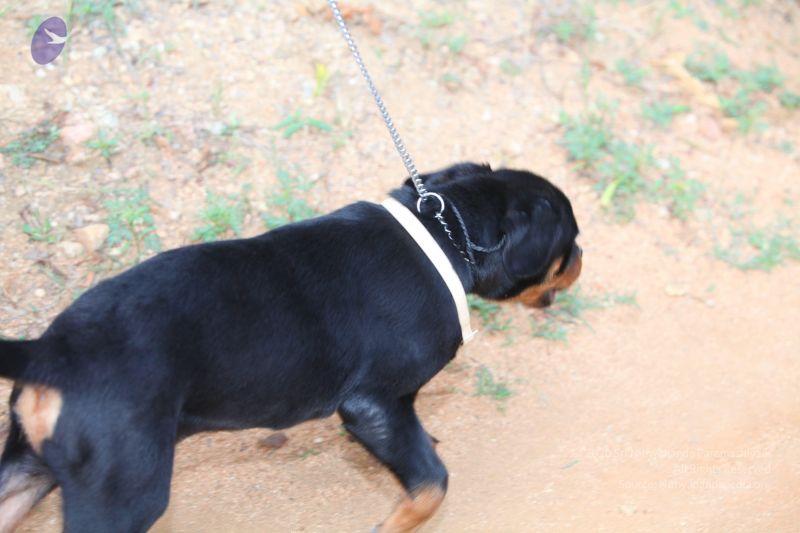 File:20130514 Photo 1043 1p8OpDb47Nys2CDE6crtwOsA4yXtZlZez.JPG