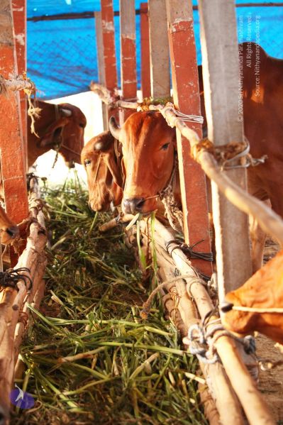 File:20130514 Photo 1174 1rX2Fz60 mZJjtAHWX5v7MxNkk54xCWsw.JPG