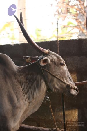 20130514 Photo 1214 1K2qc4Pu67L IxDIQyZjpmA3isSNtYBtS.JPG