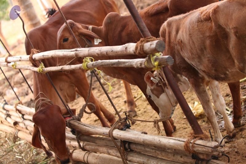 File:20130514 Photo 1222 1rMnTyxaSX4gOtwhd2bP7vT2Ga3AfR-Wh.JPG