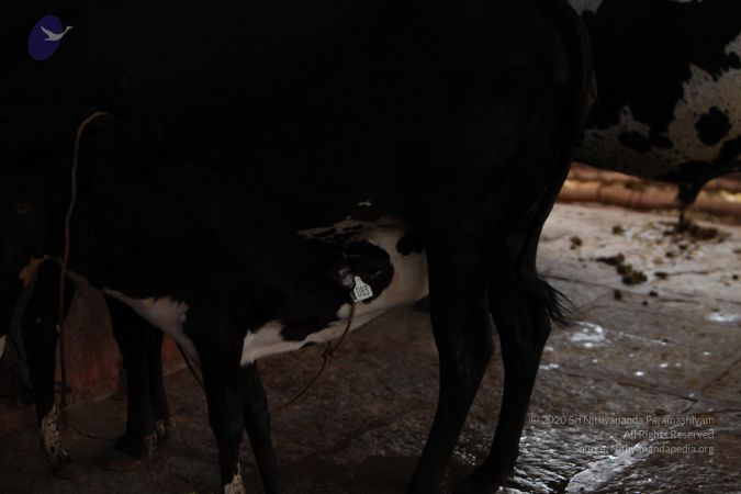 20130514 Photo 1238 1H50HV3pNkS1QypM-HZsfQRcm-58ITzlK.JPG