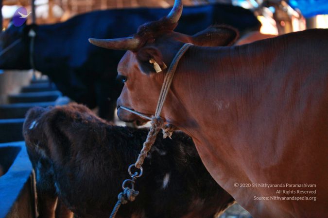 20130514 Photo 1409 10hxwjJRHU04J-WVWv zWzRnervEcaBQH.JPG