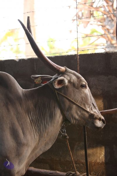 File:20130514 Photo 1429 11ZOALlrrcEgc 5LJcZKcp5kM-Rz dMdC.JPG