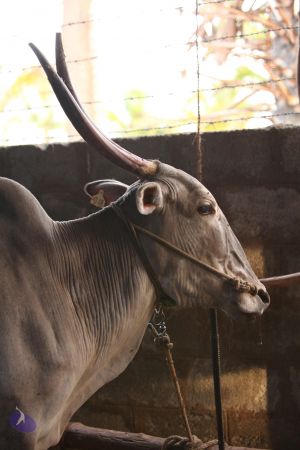 20130514 Photo 1430 1 RmWFzbSvYcjS9Jr5muv1 g TavsBjo3.JPG