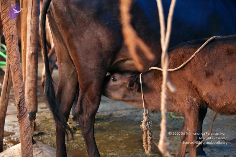 File:20130514 Photo 1435 1x34K EnN6ztb7y7wWirINvFPSJLZgbfY.JPG