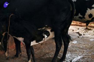 20130514 Photo 1454 1j6f5UjZPjKGz-BuOP0zBHdn0VdrMNuc8.JPG