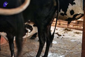 20130514 Photo 1455 1SpAnLif05ePr-yKBwY2NH02S9uesri8I.JPG