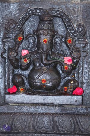 20130517 Photo 1007 1FGwK4wEcW37f8OKHmTtP8-jJpAd7Jvsr.JPG