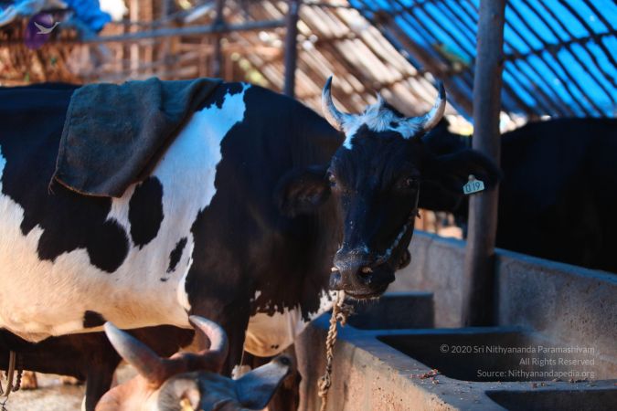 20130518 Photo 1037 1Swc-LM3GhxRnMo2nPwgEQFgKqE4DYPpu.JPG