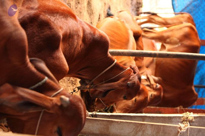 20130518 Photo 1039 1IXX3pR0-t B yF JO1VXxQK97lbMLH9P.JPG