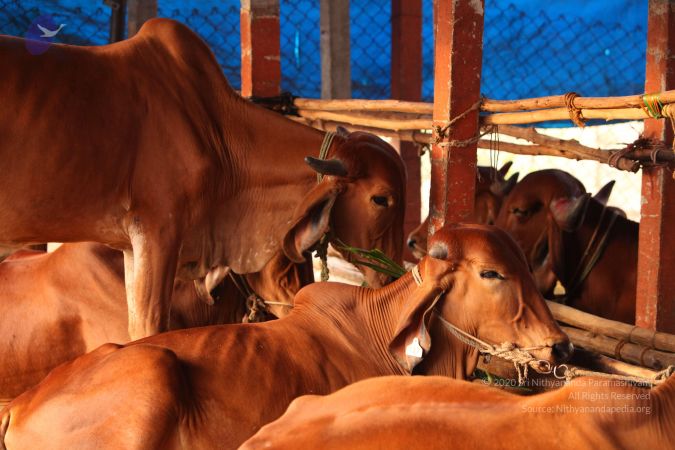 20130518 Photo 1042 1-JppxdPQWkJqsaydq8sD0AkZMLCI9t25.JPG